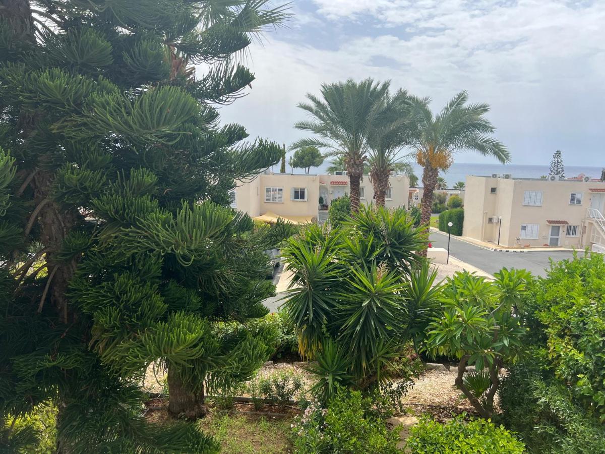 Modern Seaview Townhouse In Coral Bay (Adults Only) Leilighet Péja Eksteriør bilde